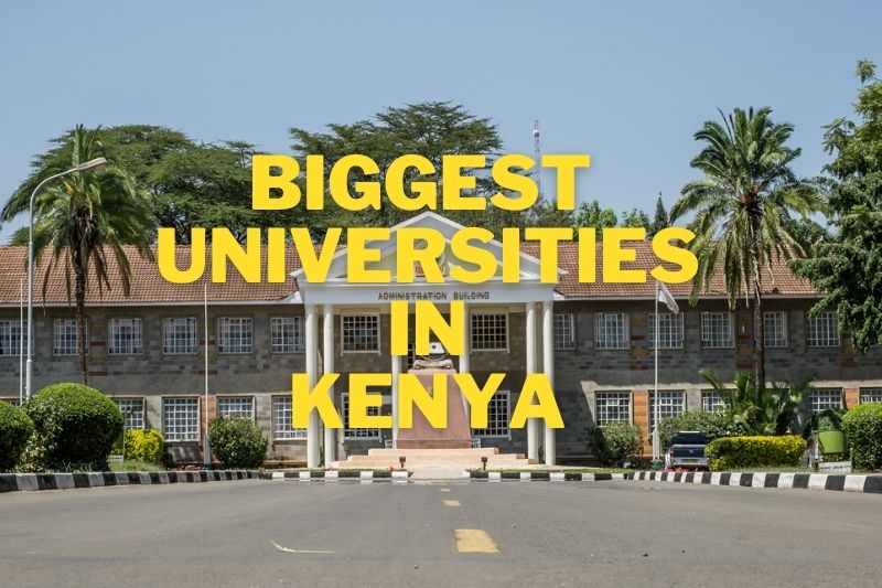 Biggest Universities in Kenya