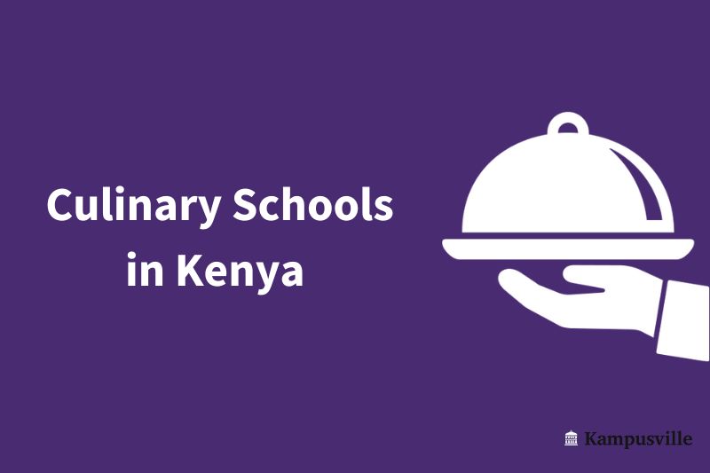 Top 8 Culinary Schools in Kenya 